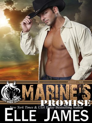 cover image of Marine's Promise